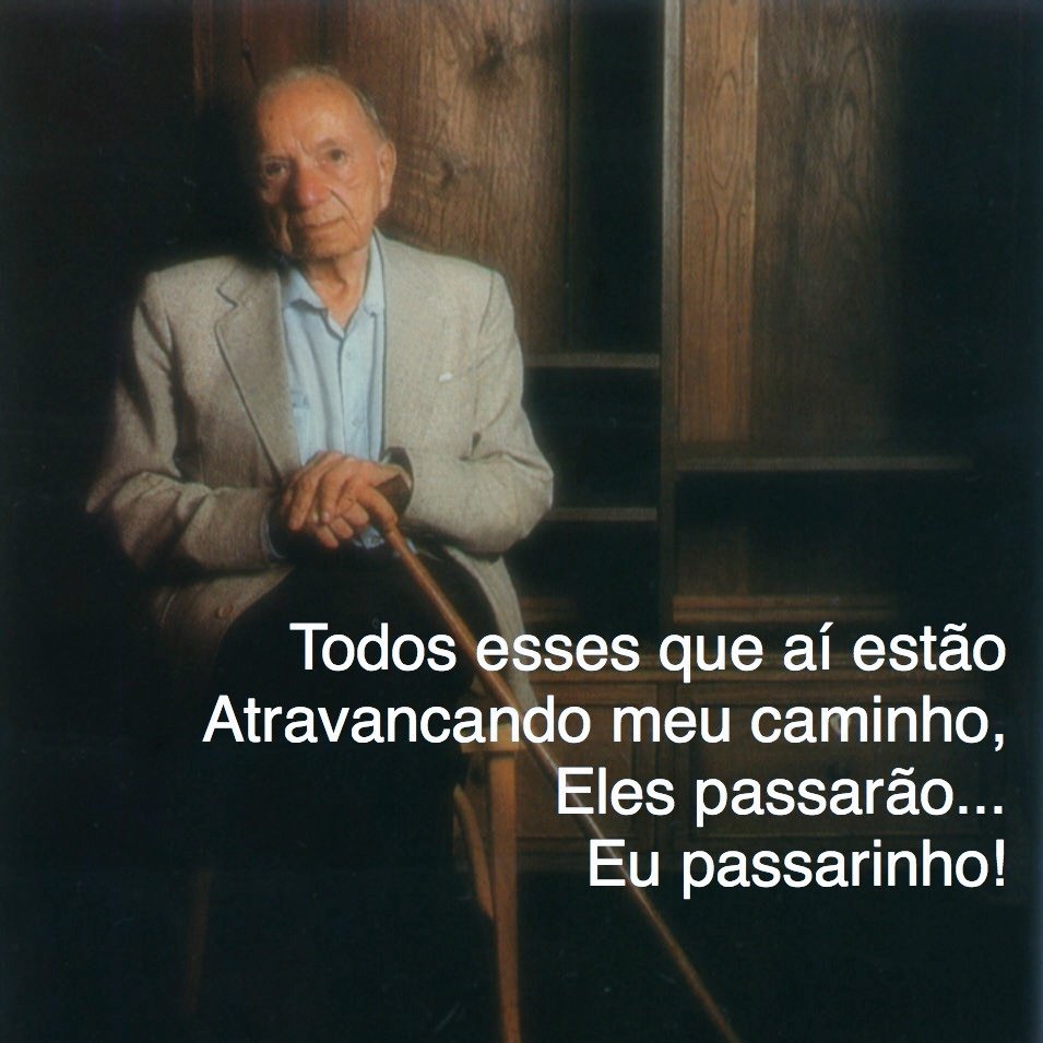 Adaubam Pires tweet media