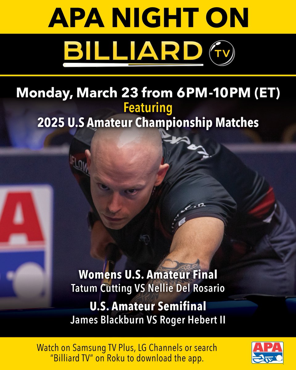 APA Pool League tweet media