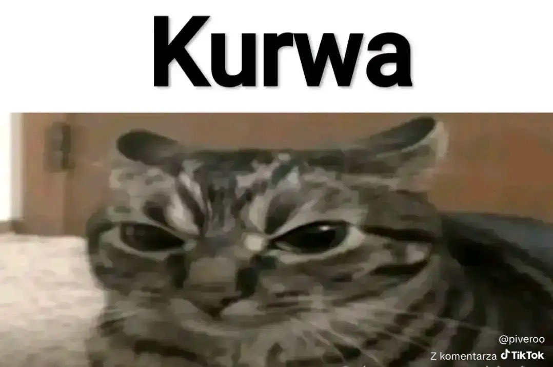 kotlinka tweet media