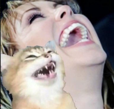 That Girl Maria tweet media