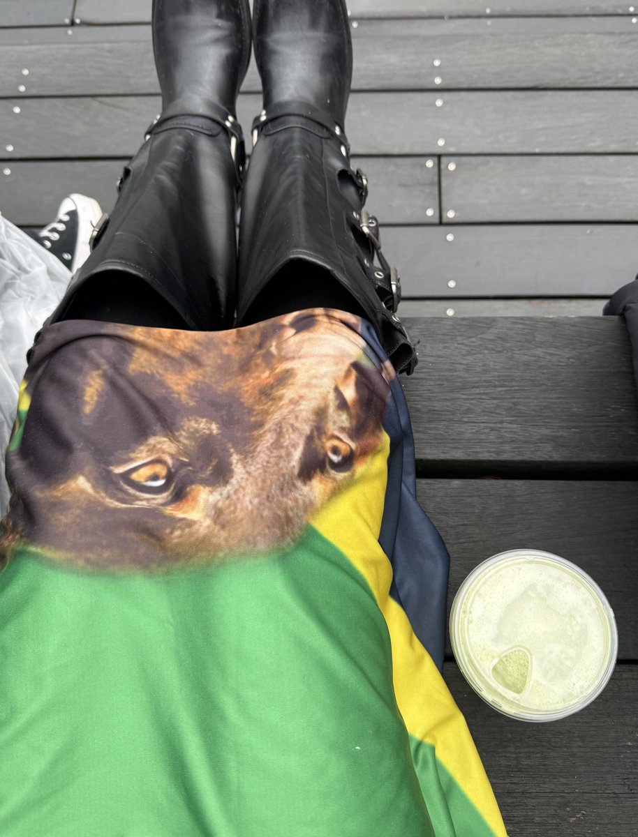 Luana pretty woman do mingyu 🪭 tweet media