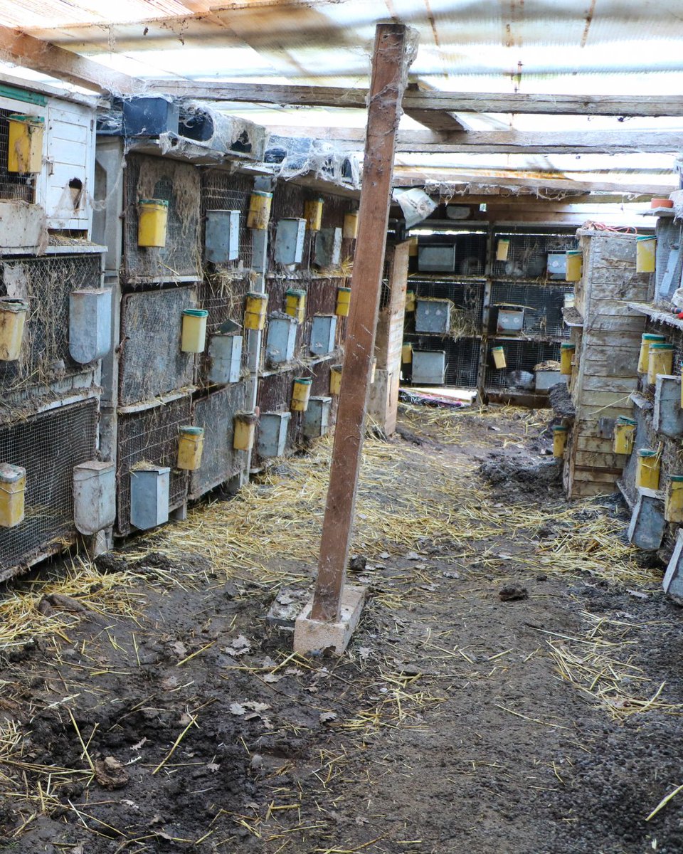 La SPA France tweet media