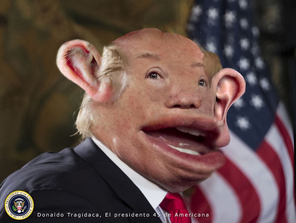 SOUVERAIN tweet media