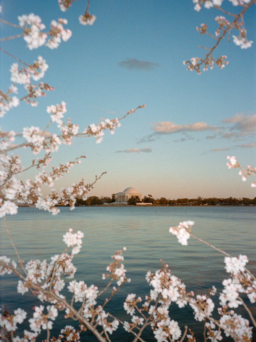 Nevin Johnson tweet media