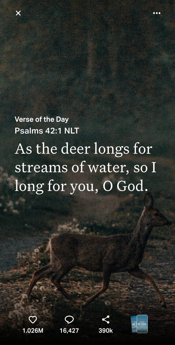 SquidDaBeast tweet media