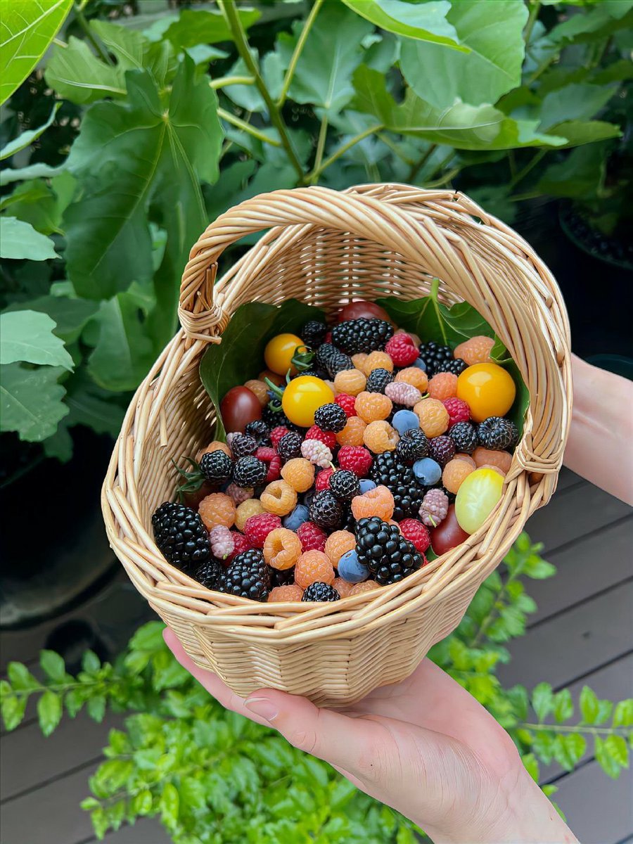 La vie est belle tweet media