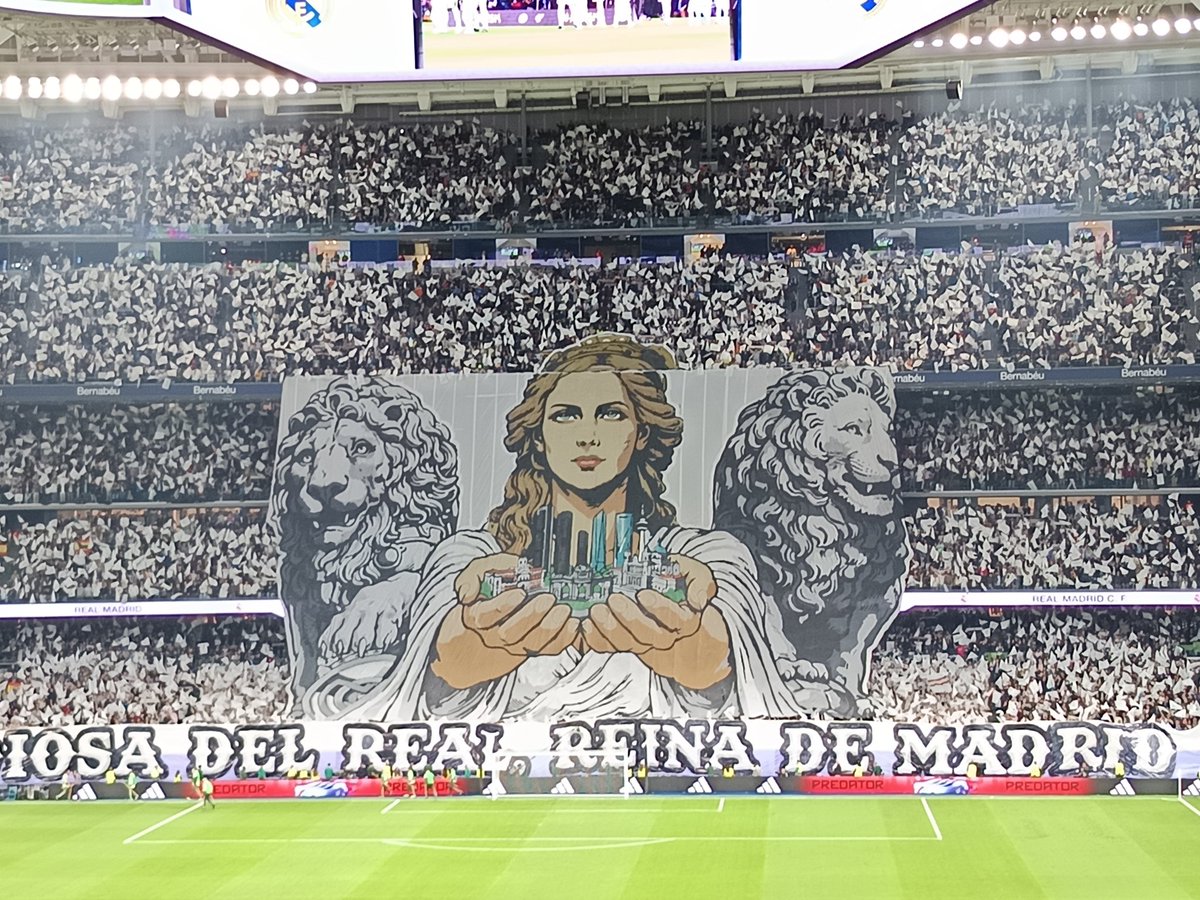 NorthFansRmcf🐺 tweet media