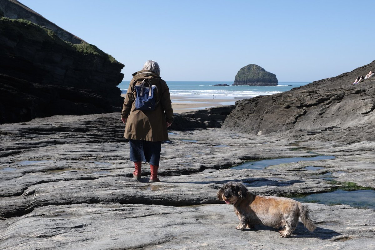 Wally Bobbers 💜 tweet media