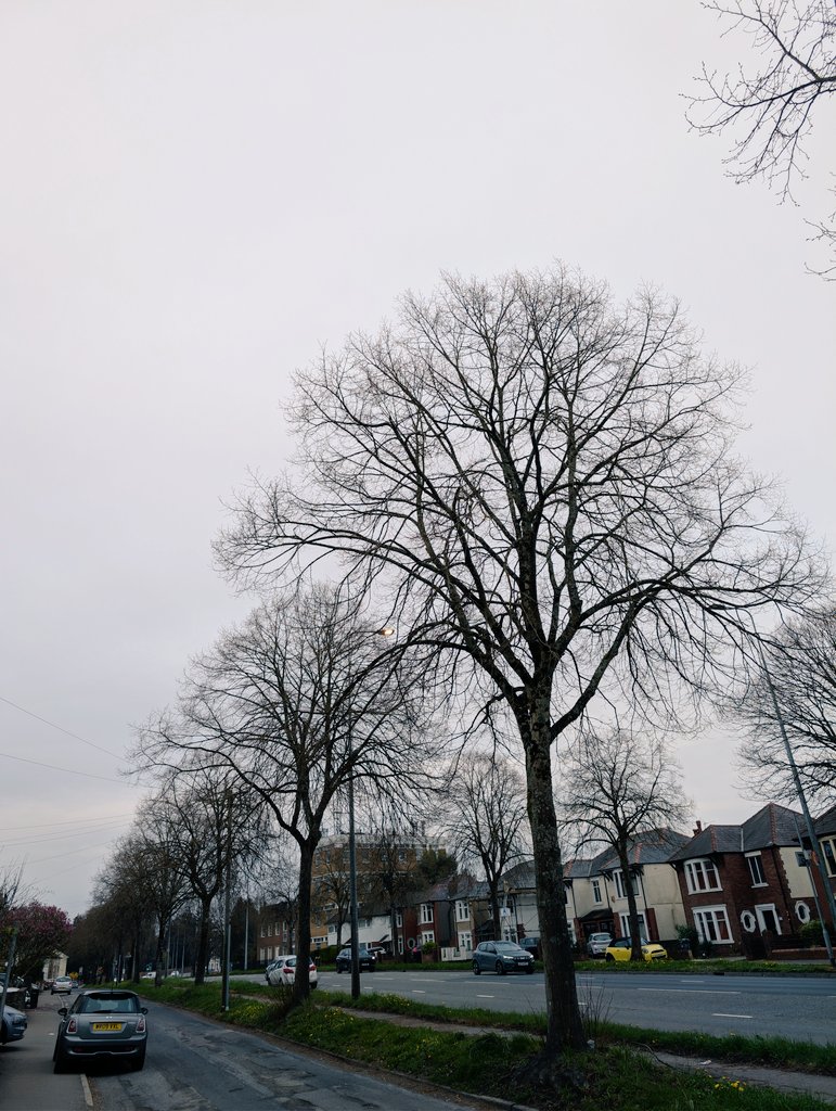 Abiola Ololade tweet media