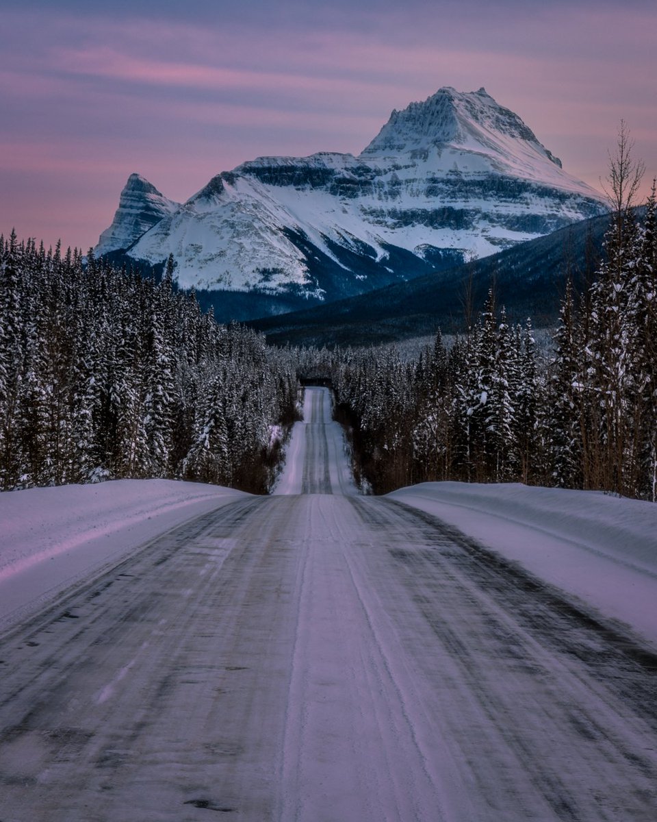 Dan the Man tweet media