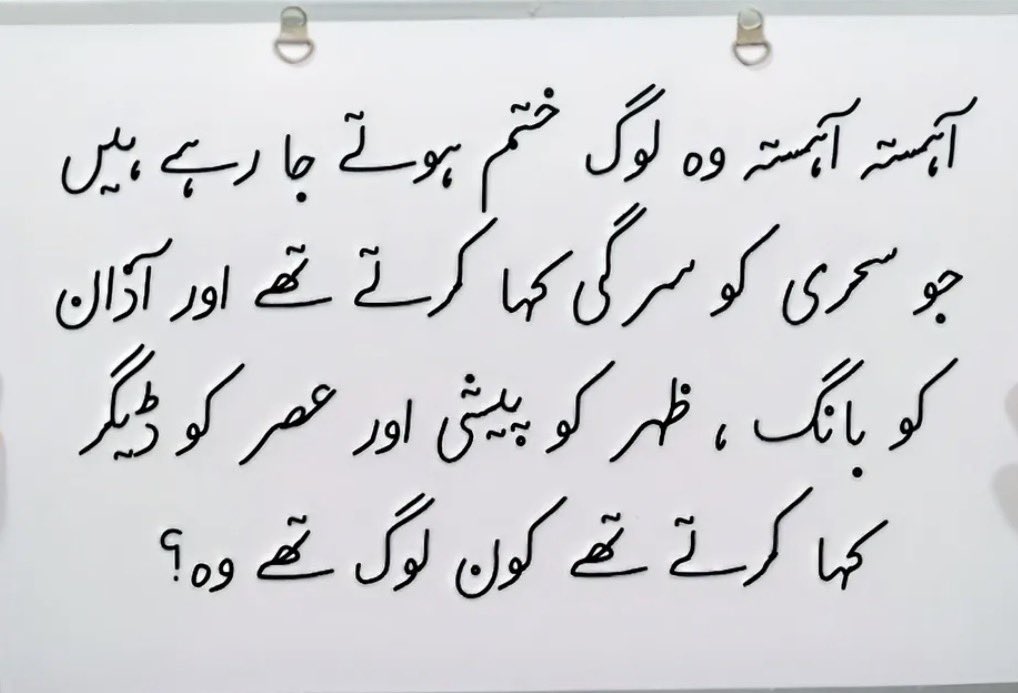 ہمارے علاقے ہزارے میں اب بھی لوگ یہ الفاظ بولتے ہیں 😊

وہاں اکثر لوگ سوزوکی کو سندوکی بھی کہتے ہیں🙄 😃