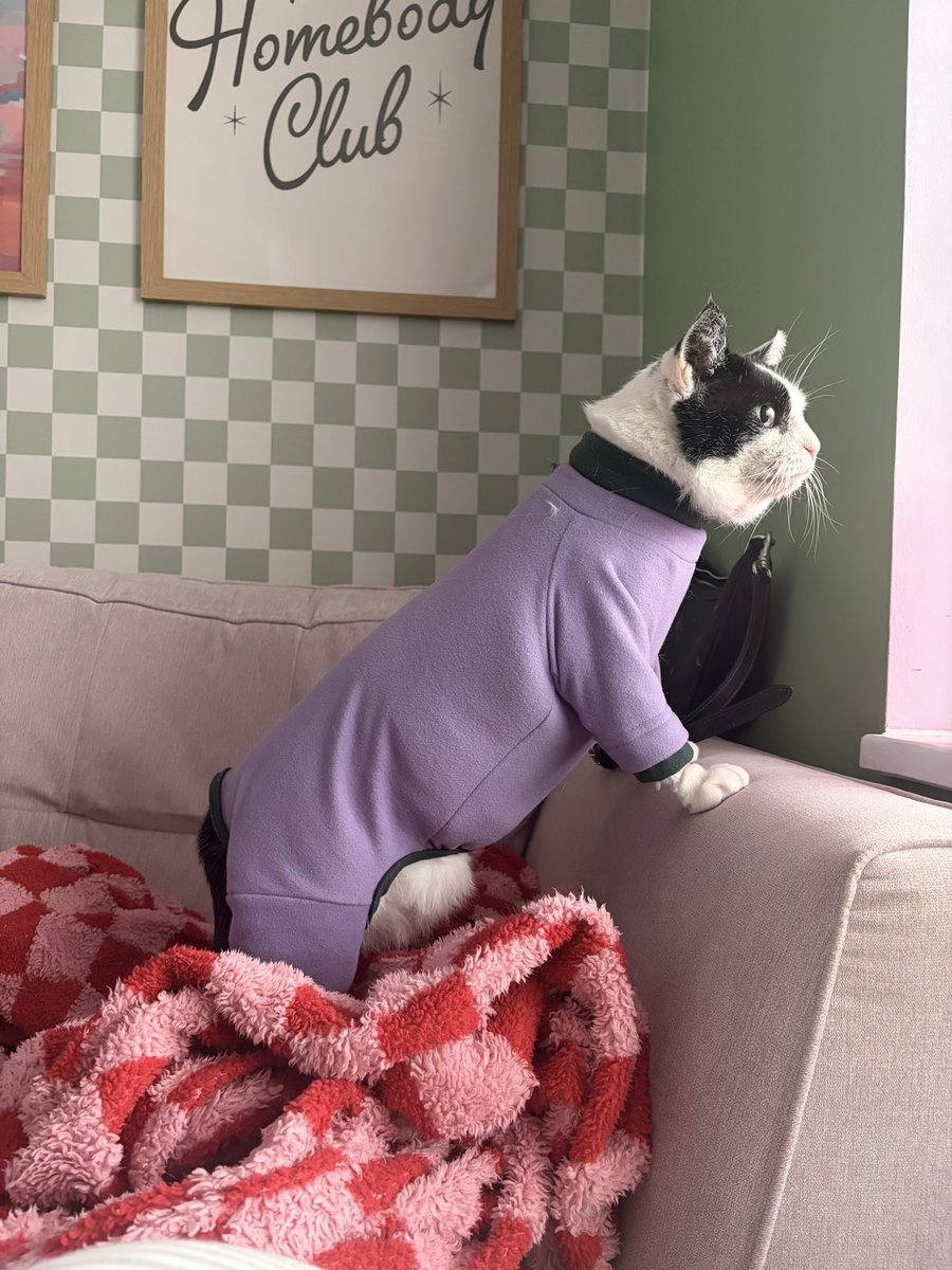 (Toni’s Version) tweet media