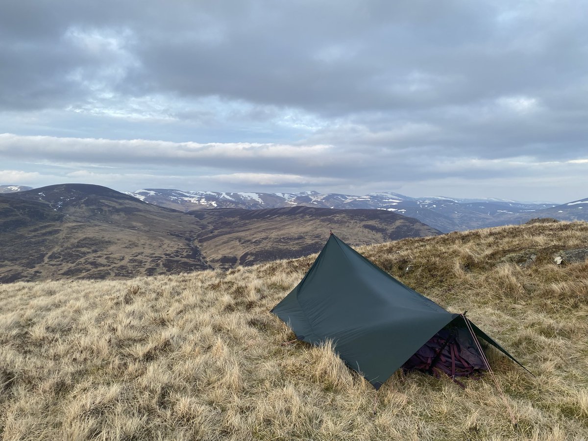 Hazel Strachan tweet media