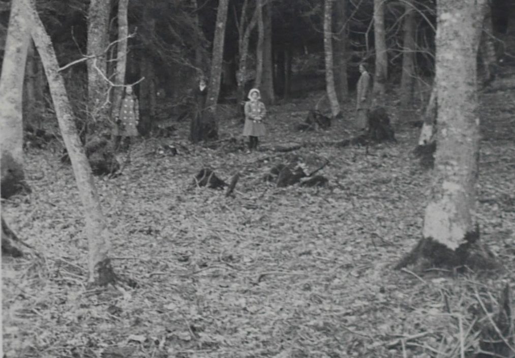 Dr David Barber 💙 tweet media