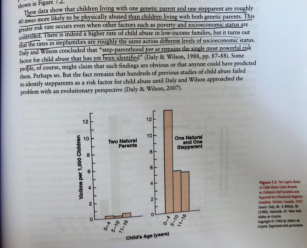 𝖓𝖎𝖓𝖊 🕯 tweet media