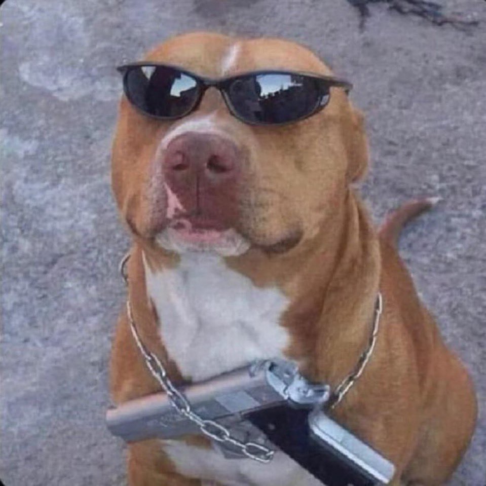 Dognerys 🔥and🩸 tweet media