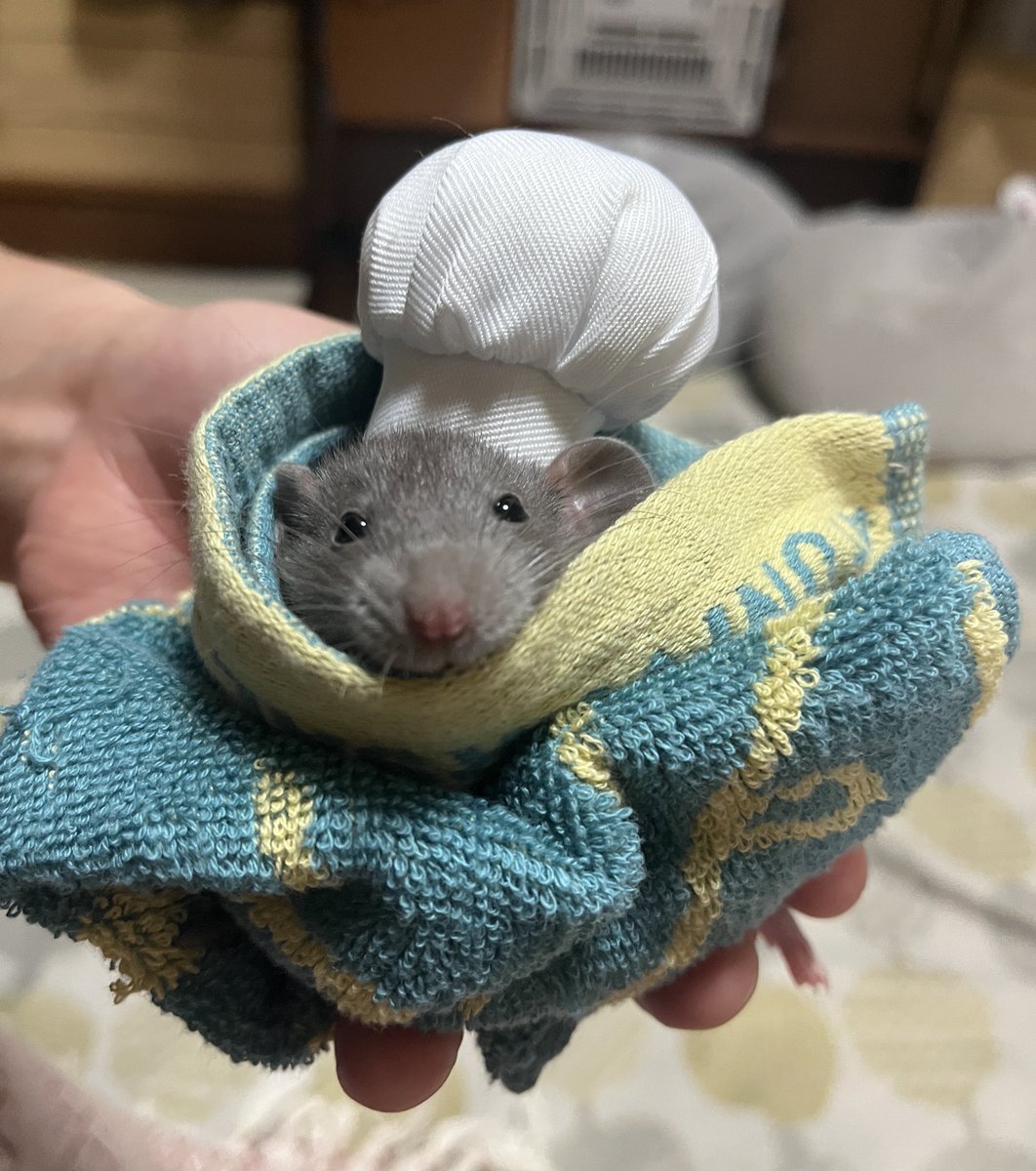 村上ラット🐀🐁 tweet media