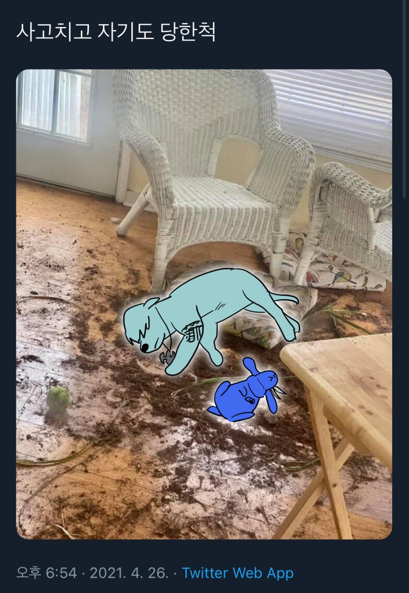 띵호와 tweet media