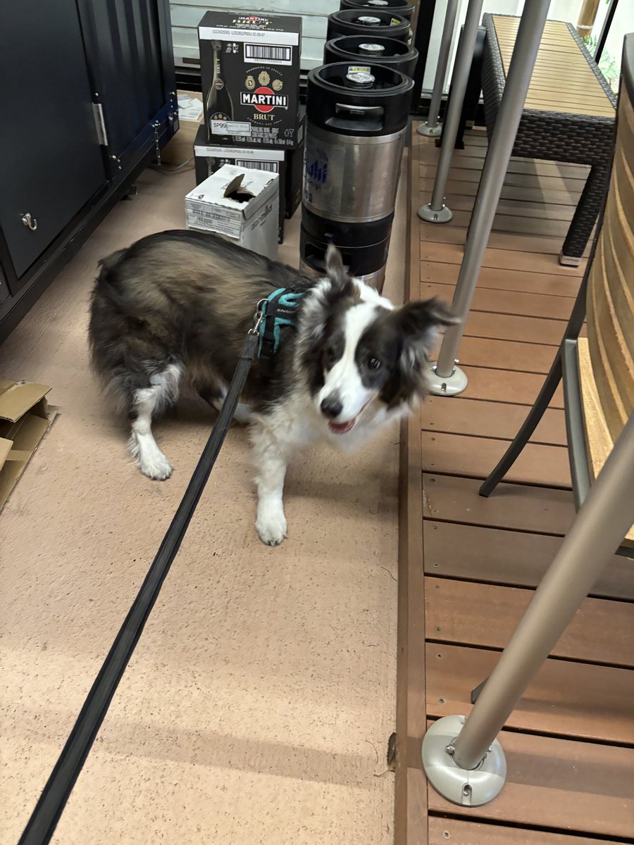 ぱちゃも tweet media