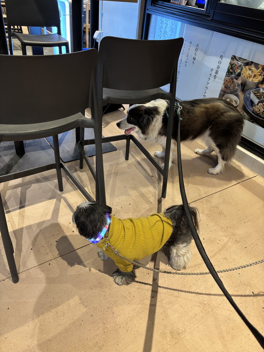 ぱちゃも tweet media