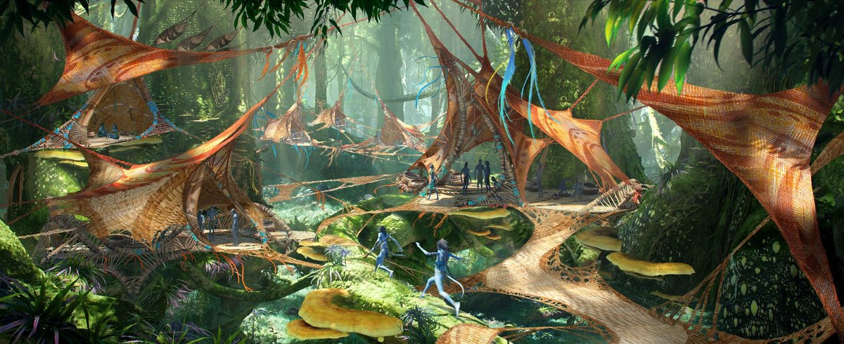 iris 🌙 tweet media