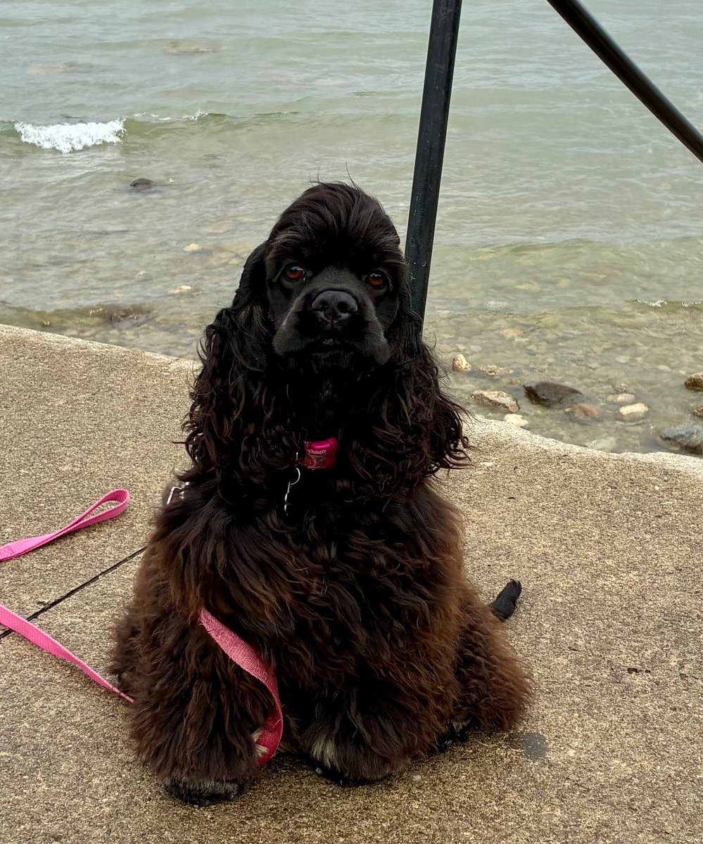 D.M. Fox tweet media