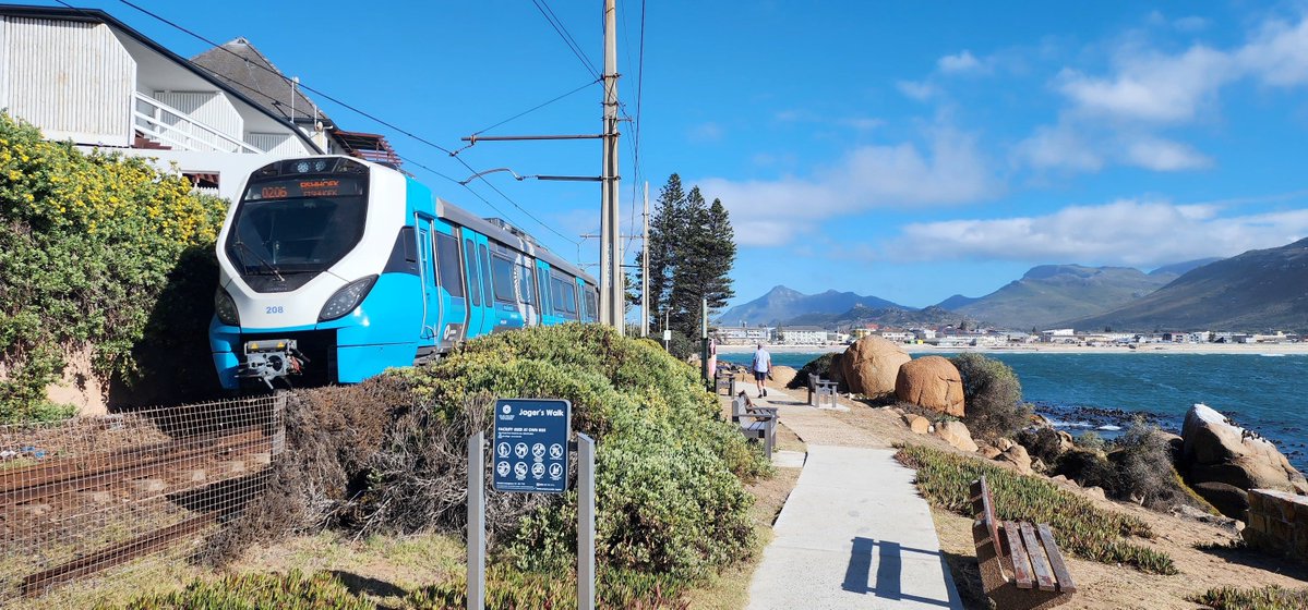 Curious Contrarian tweet media