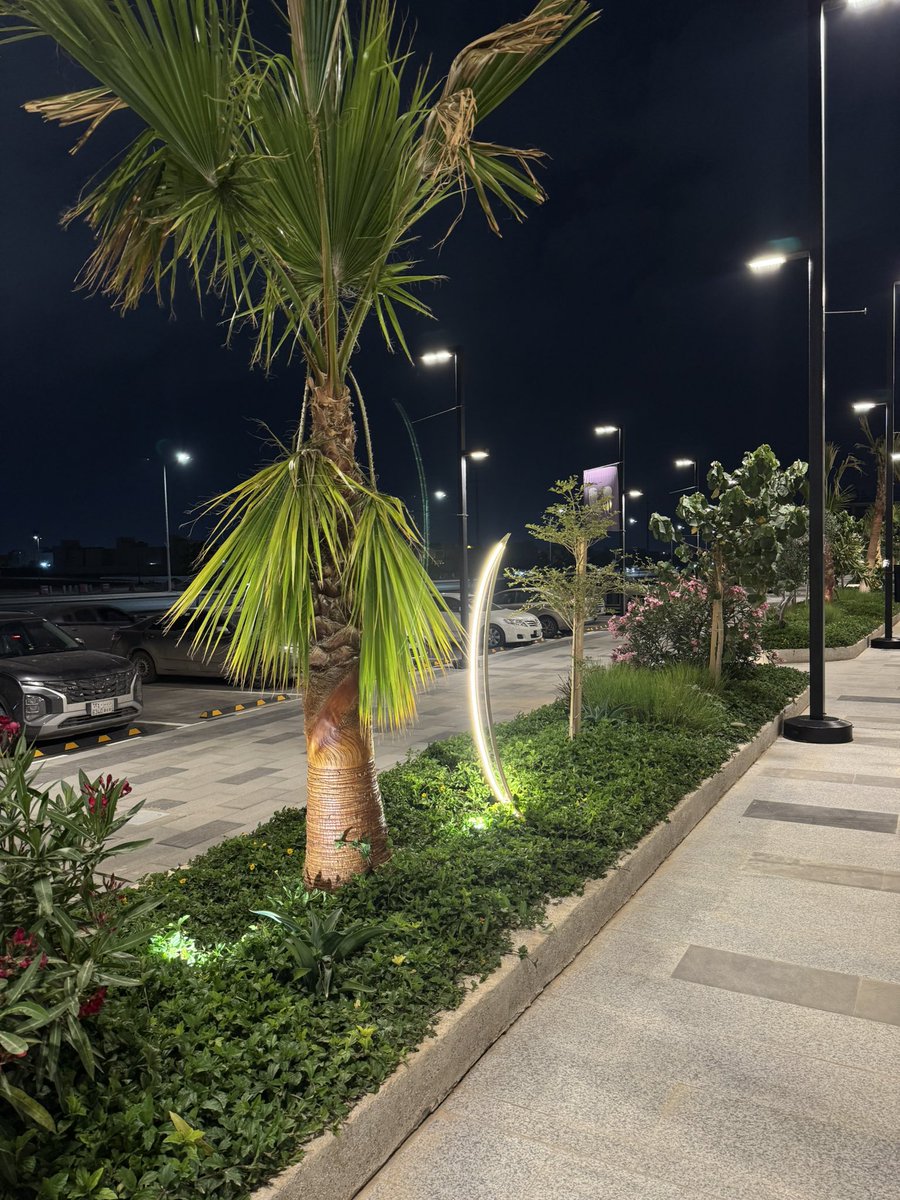 Meshari Alshammari tweet media