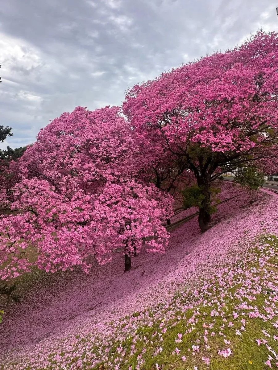 La vie est belle tweet media