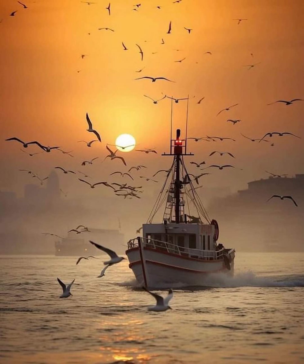 Earth pictures 🌍🌎🌏 tweet media