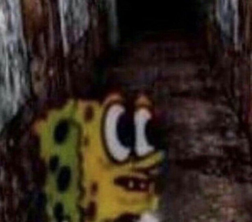 Noelia🐉 tweet media