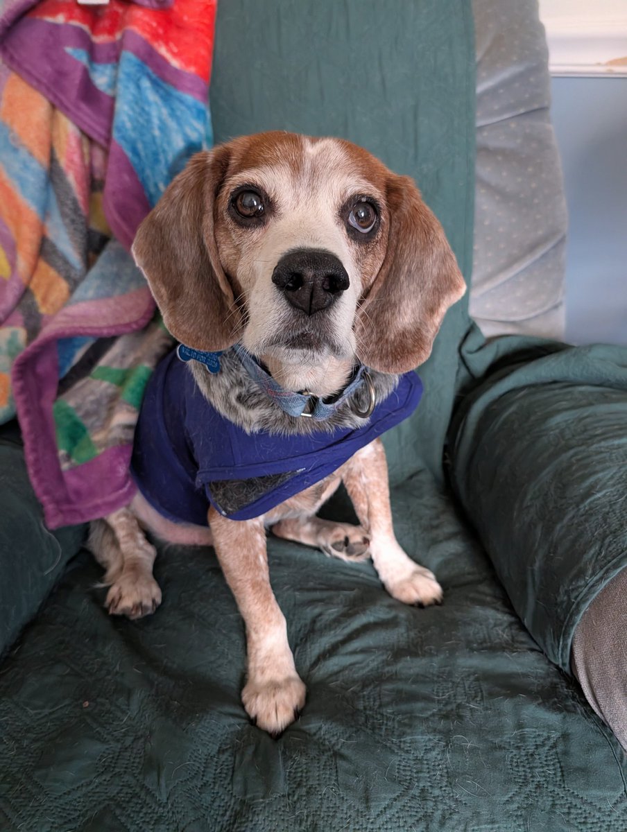 Kristin, The Normanator and 🌈 Friends tweet media