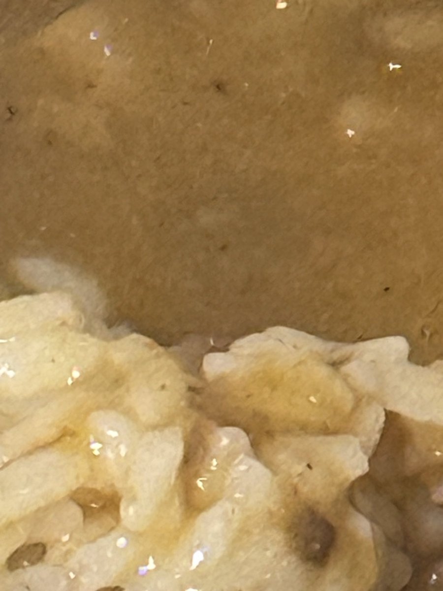 요이【VRECORD】 tweet media