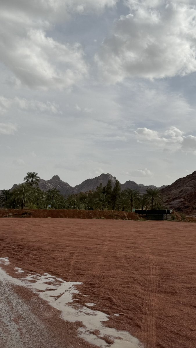 حمدان جارالله السهلي tweet media