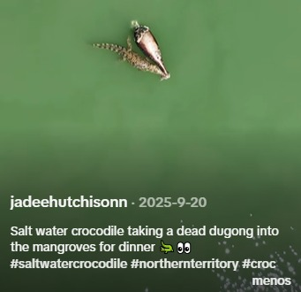 Jorge W. Moreno-Bernal tweet media