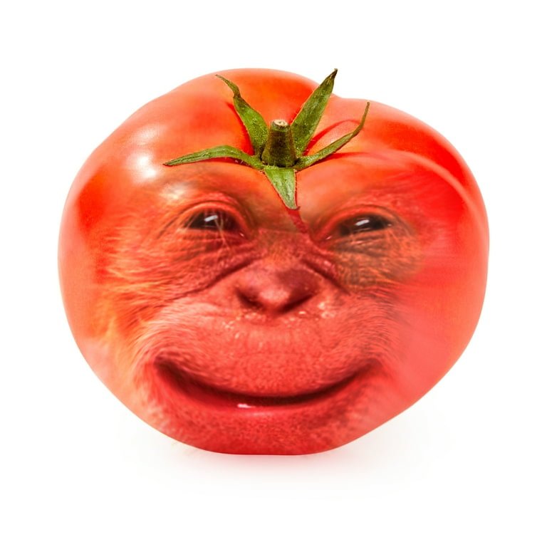 primateluvr tweet media