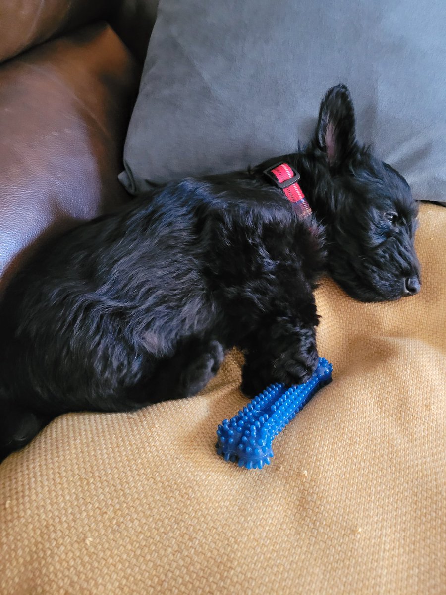 Mr Sonsie tweet media