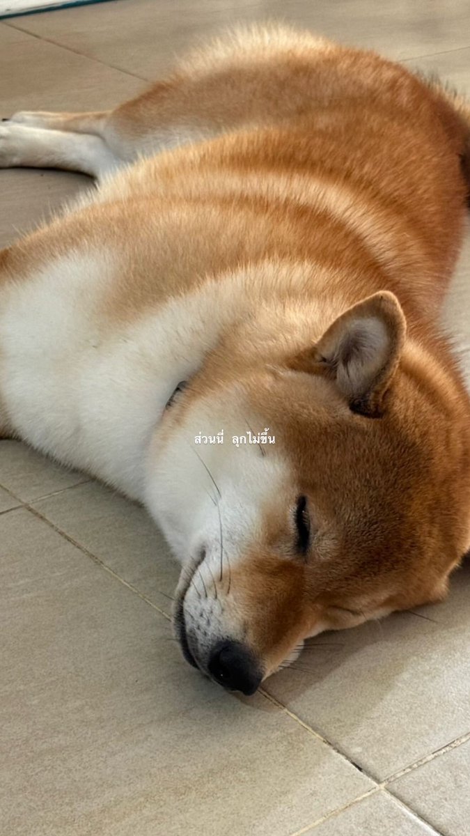 timi ☆ tweet media