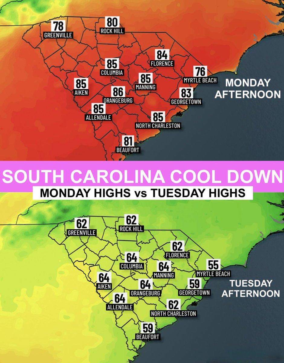 Lexie Horvath tweet media