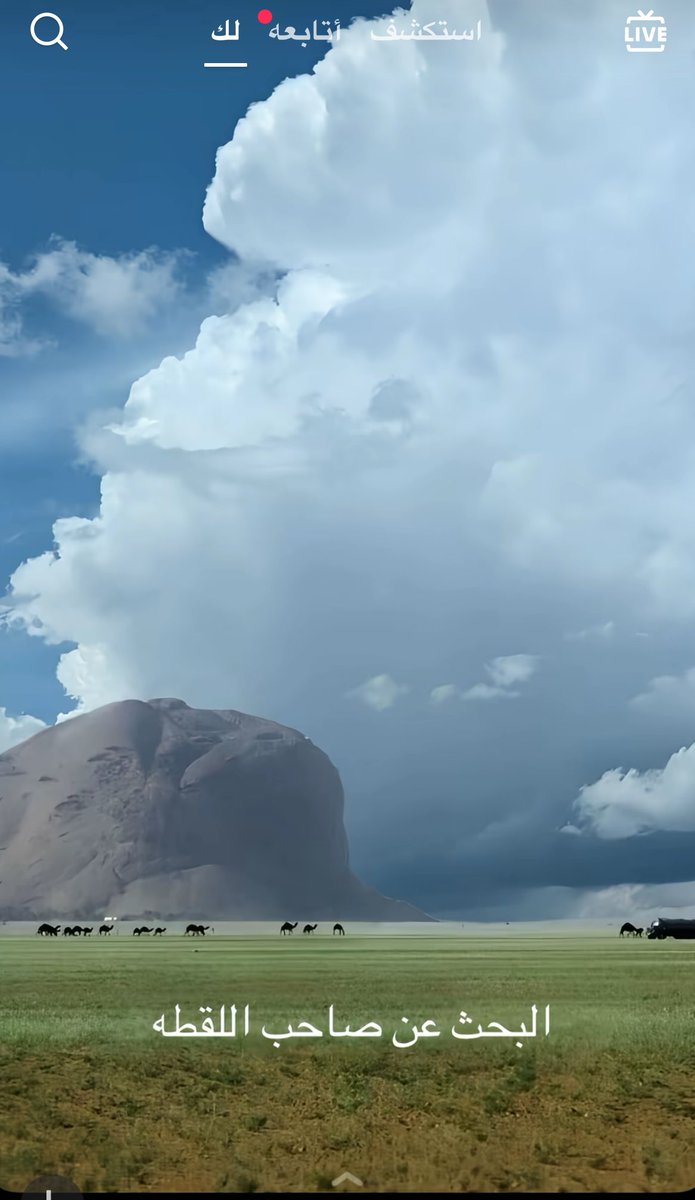 ابو عايض tweet media