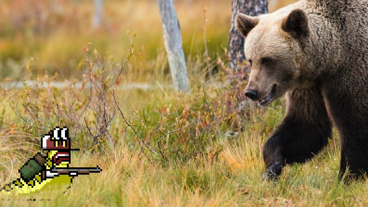 Solana Slugs tweet media