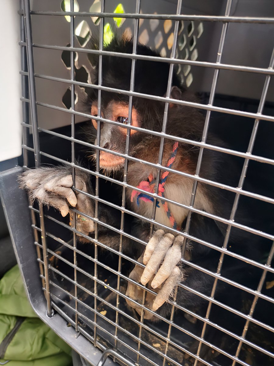 Punto de Referencia tweet media