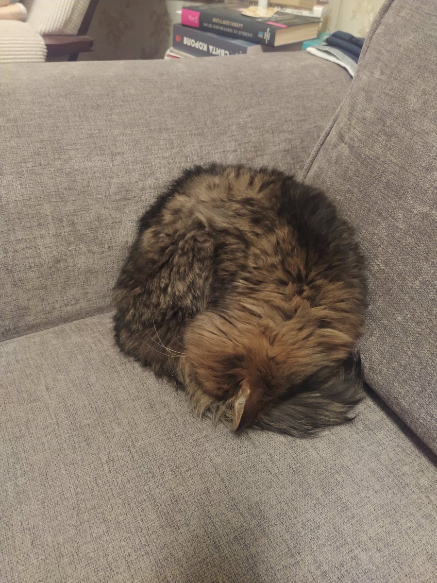 Лект tweet media