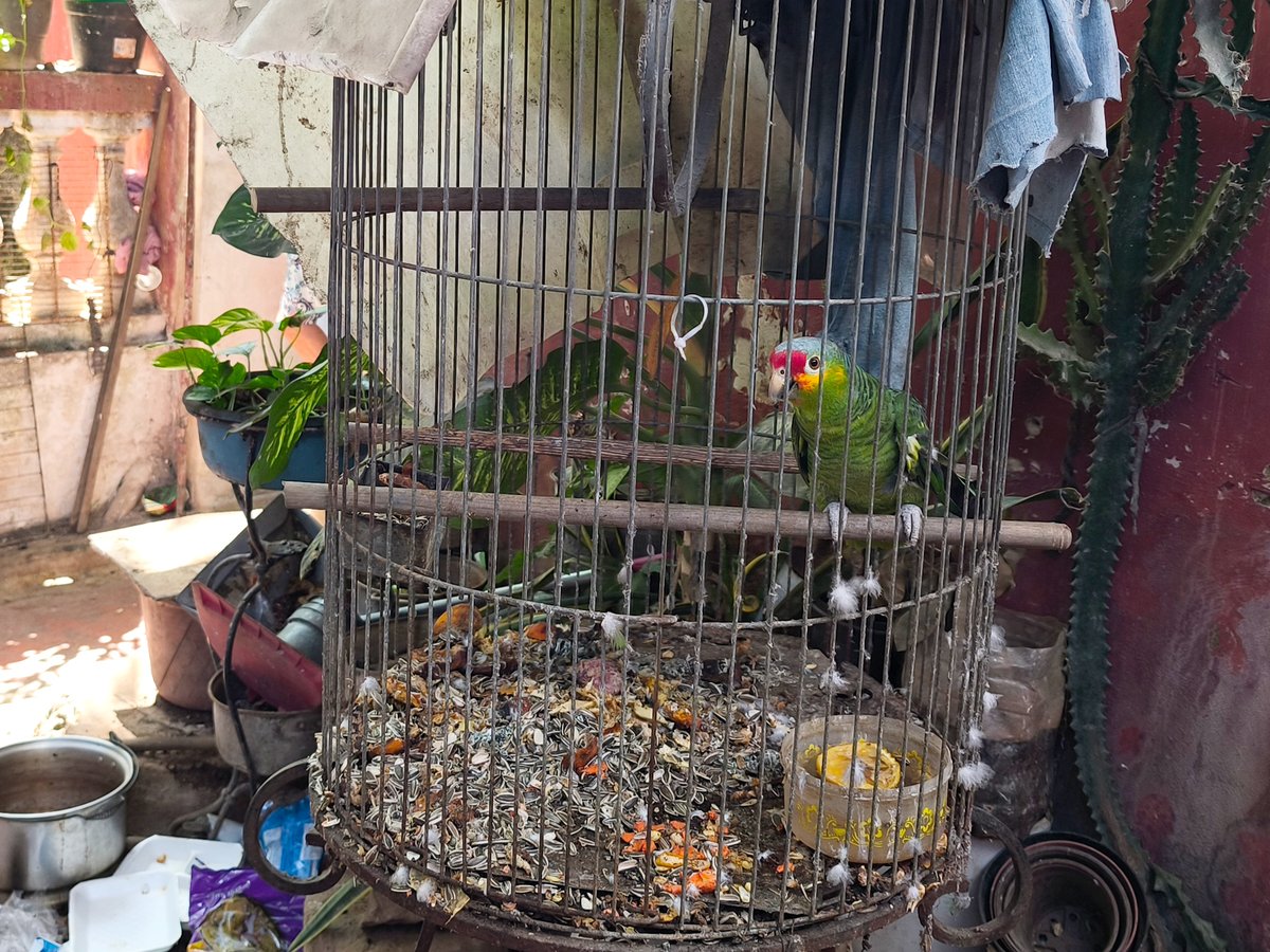 Punto de Referencia tweet media