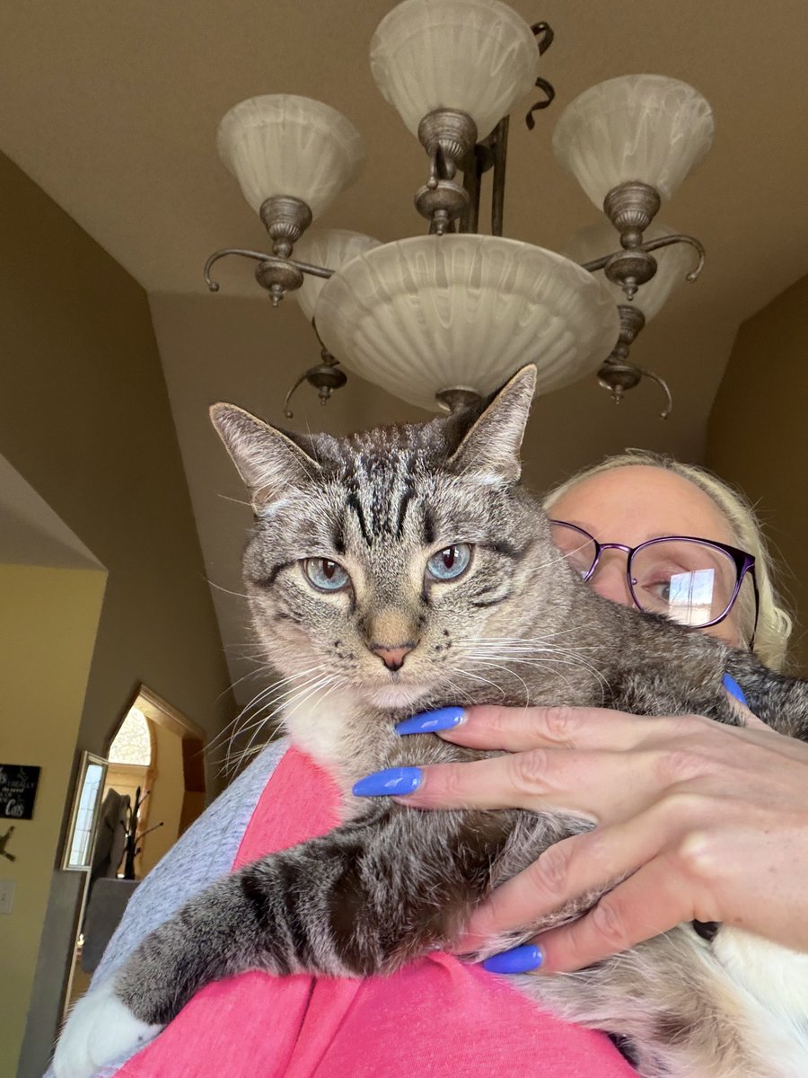 🐛🌷Dean🦋🪴 tweet media