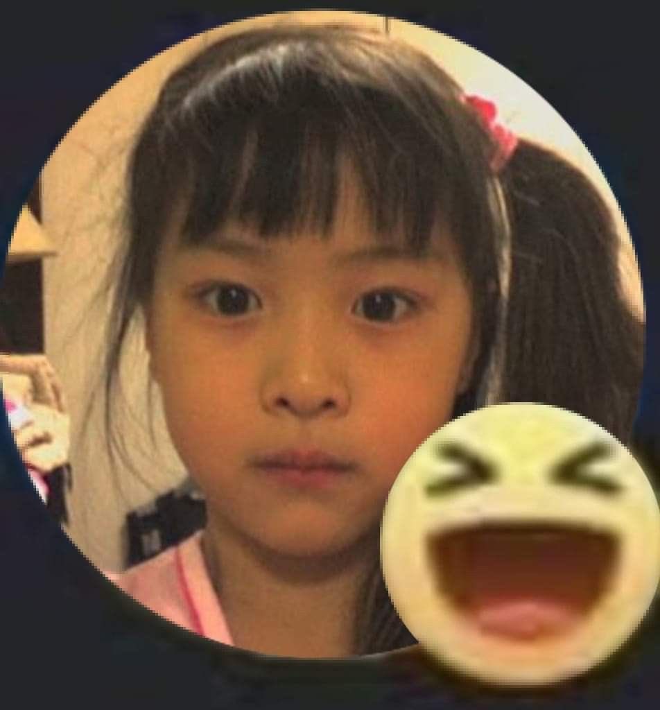 who is dina ⏤͟͟͞͞☆ 🇹🇷🇵🇸 tweet media