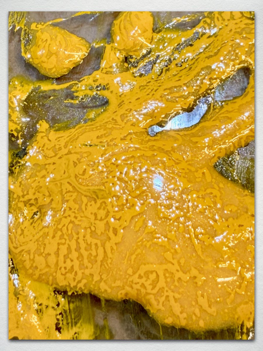 robertnajlis's tweet photo. Adventures of the palette
Beautiful colors of oil paint.

#art #color #oilpainting #painting #colortheory https://t.co/C3JMOXS9KH