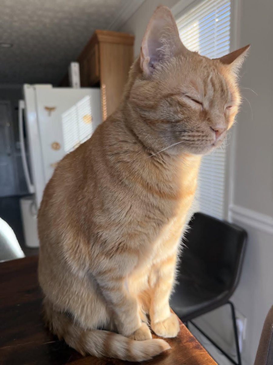 Sara Mary ⭐❤️ tweet media