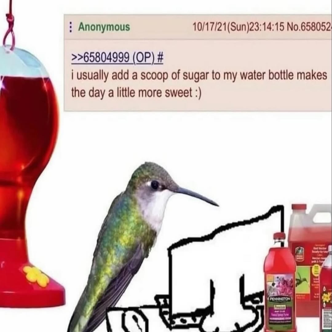 brainrot dimension tweet media