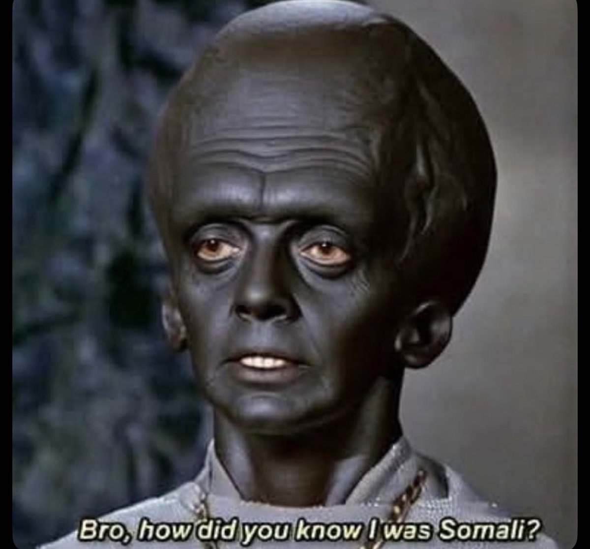 plebhed.com tweet media